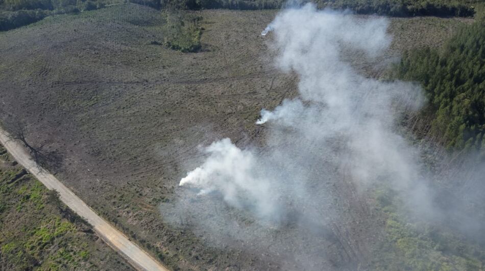 Denuncian invasión de tierras en Cauca.
