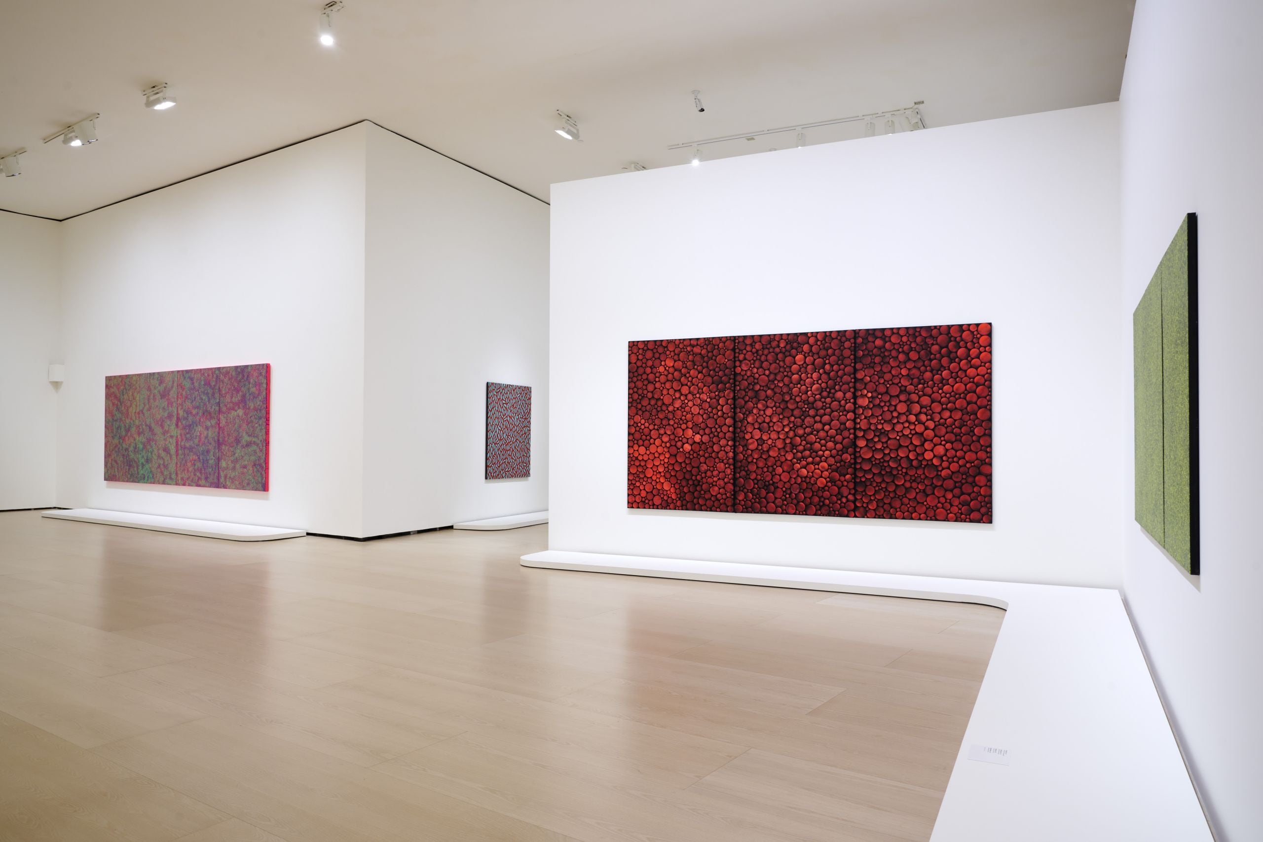 Una imagen de la exposición de Yayoi Kusama en el Museo Guggenheim de Bilbao en la que se ven diferentes ejemplos de Infinity Nets. Museo Guggenheim de Bilbao