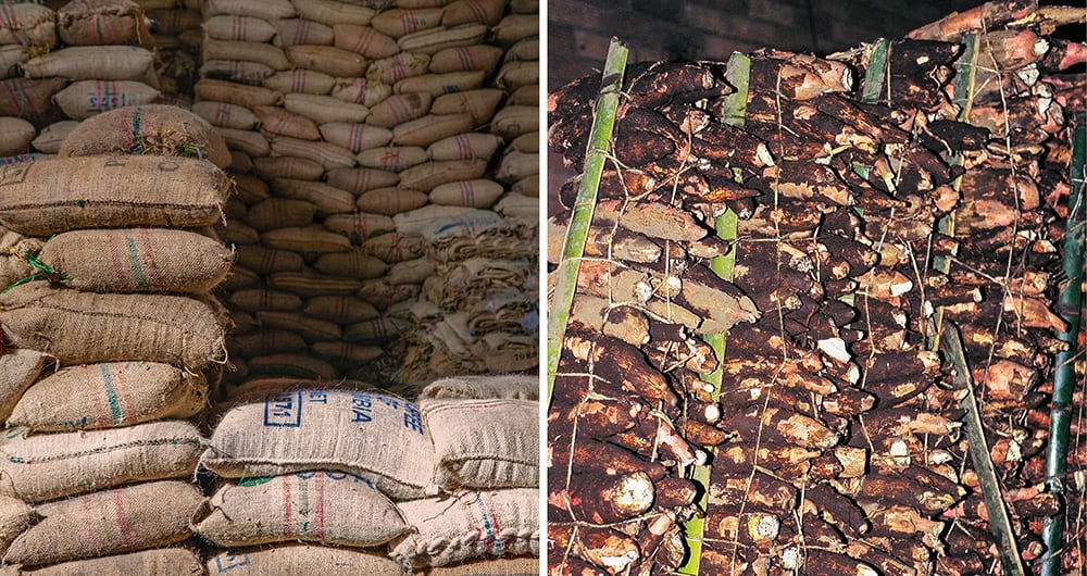    Con expertos químicos les quitaban el olor de la cocaína a los cargamentos, con el fin de que los perros no la detectaran.  