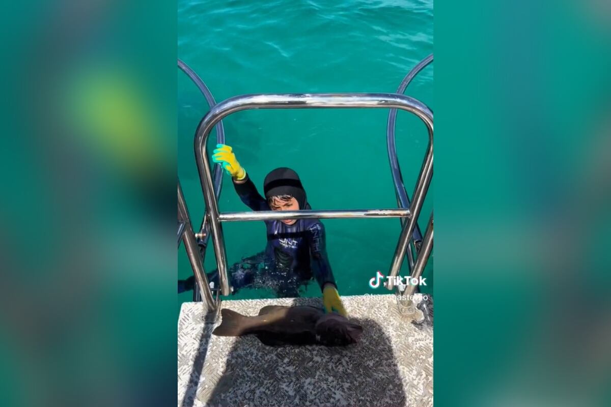 Tik Tok: @huntmaster.io