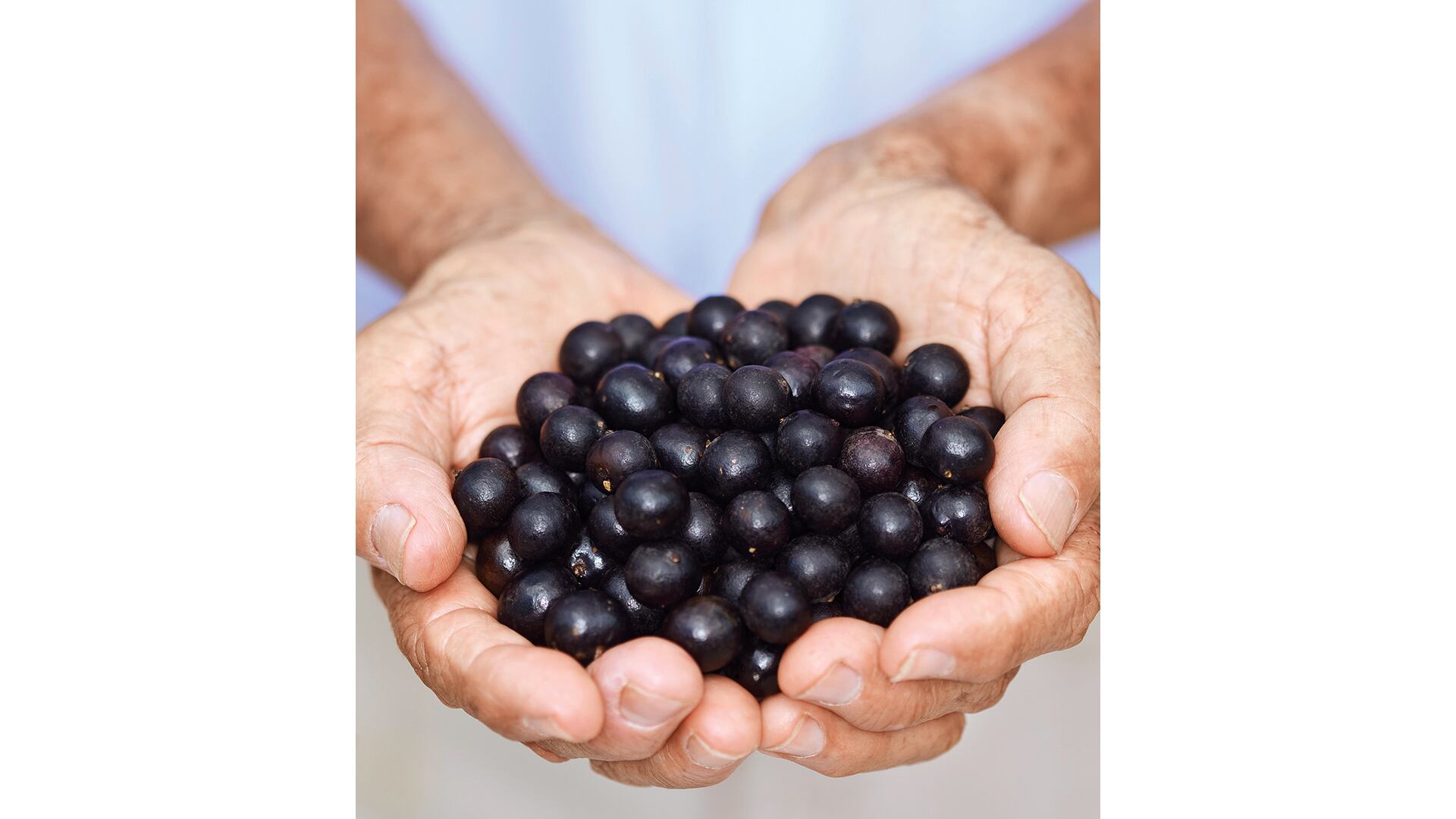 NO USAR, USO EXCLUSIVO MEJOR COLOMBIA, Especial Mejor Colombia, Oportunidades Paz, Frutichar