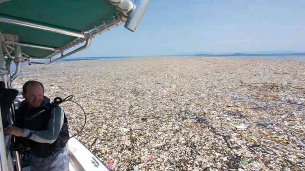 “Un mar de plástico y espuma de poliestireno”, escribió la fotógrafa Caroline Power al divulgar las imágenes de su hallazgo, que tuvo lugar entre las islas hondureñas de Roatán y Cayos Cochinos. Foto: Archivo Agencia Anadolu.