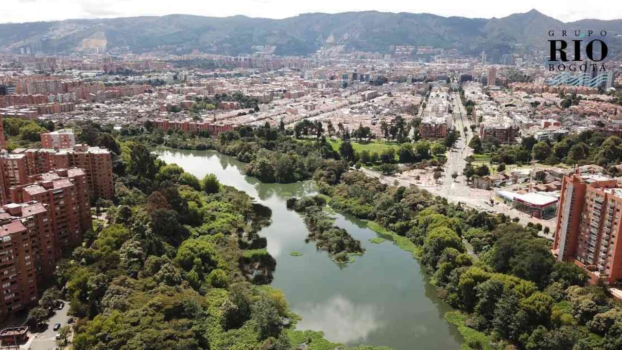 En Bogotá existen 15 humedales, que limpian el aire que respiramos. Foto: Nicolás Acevedo