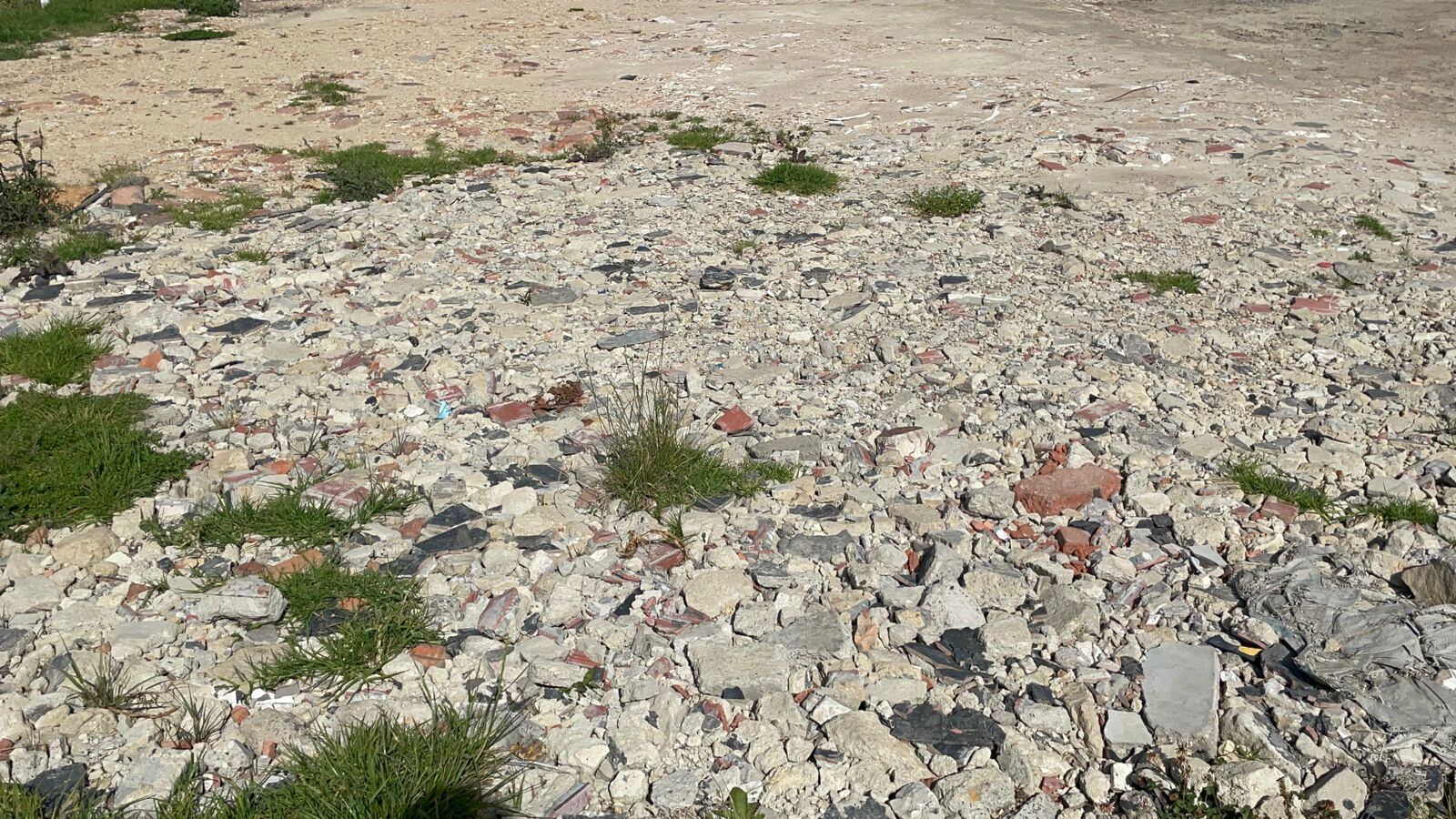 Intervención ilegal en la Reserva Thomas Van der Hammen.