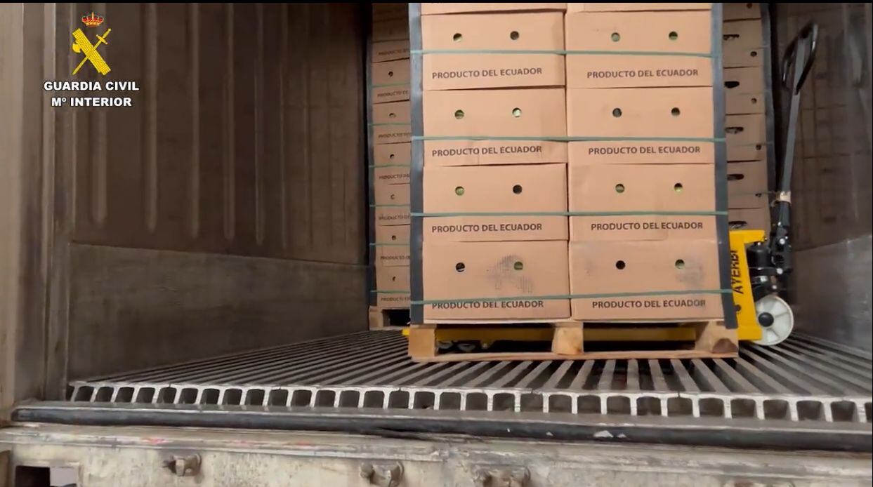 Los investigadores también practicaron varias entradas y registros en los domicilios de los principales miembros de la organización