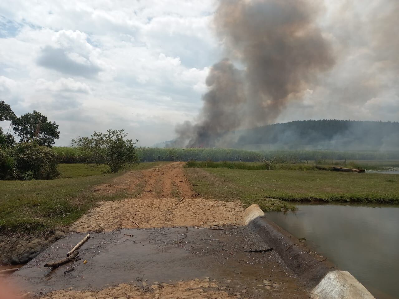 Terrible situación en Cauca: invasores prendieron fuego a mil hectáreas de una reserva natural protegida.
