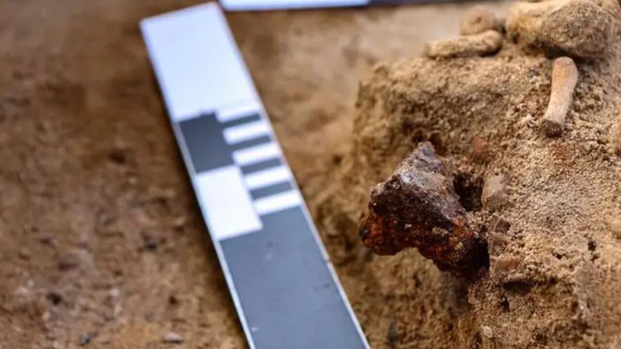 Los científicos, adscritos a la Universidad Nicolaus Copernicus hallaron el esqueleto de un niño que presentaba características inusuales.