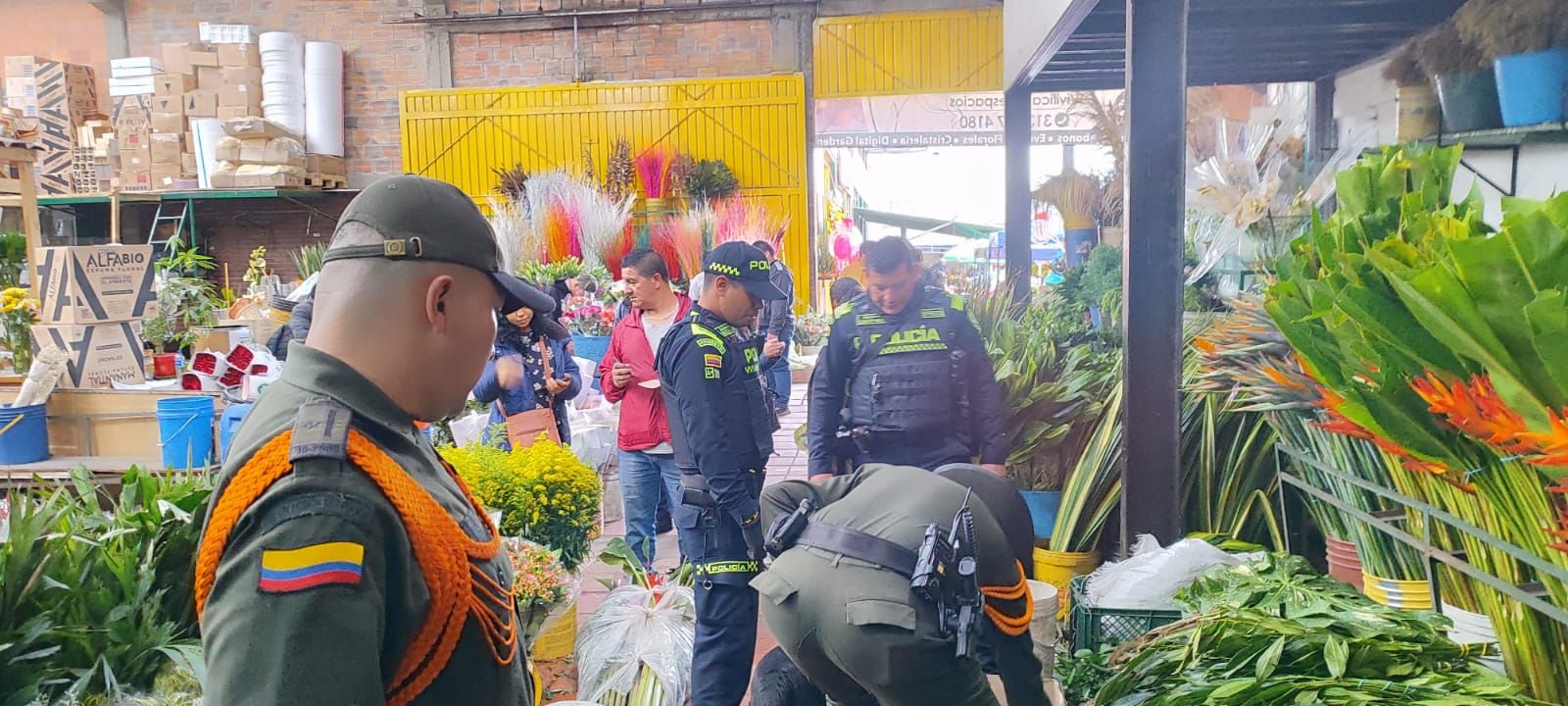 Semana Santa, palma de cera