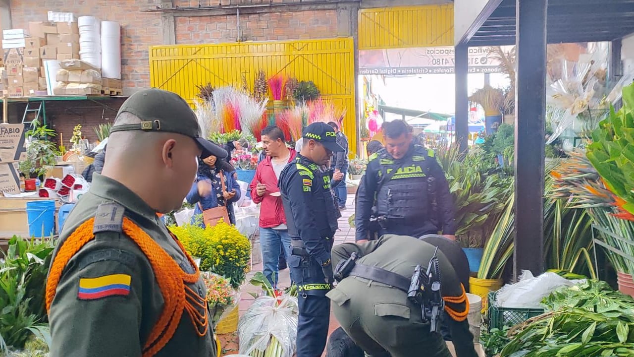 Semana Santa, palma de cera