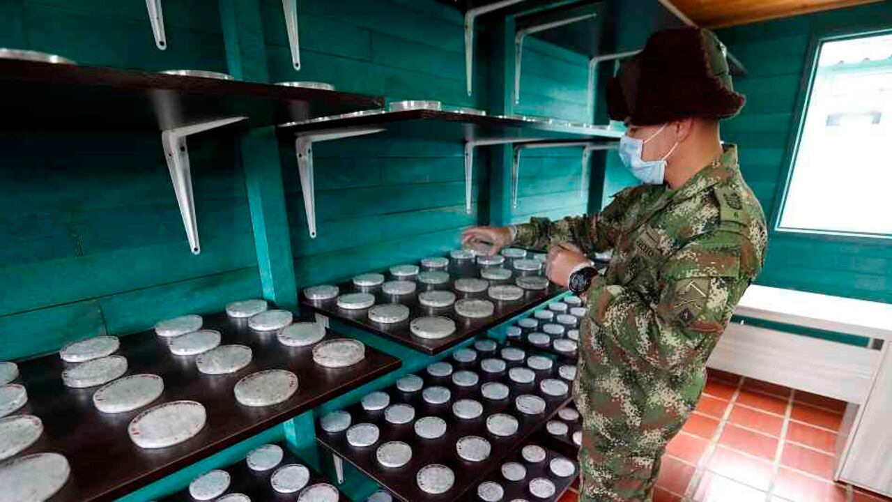 La Superintendencia de Industria y Comercio sancionó con $8.381 millones a Catalinsa.