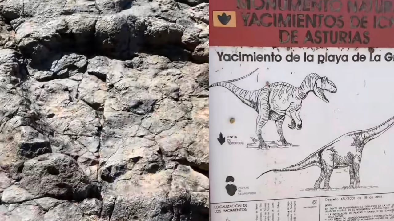En esta playa se pueden ver las huellas de dinosaurios más grandes del mundo.