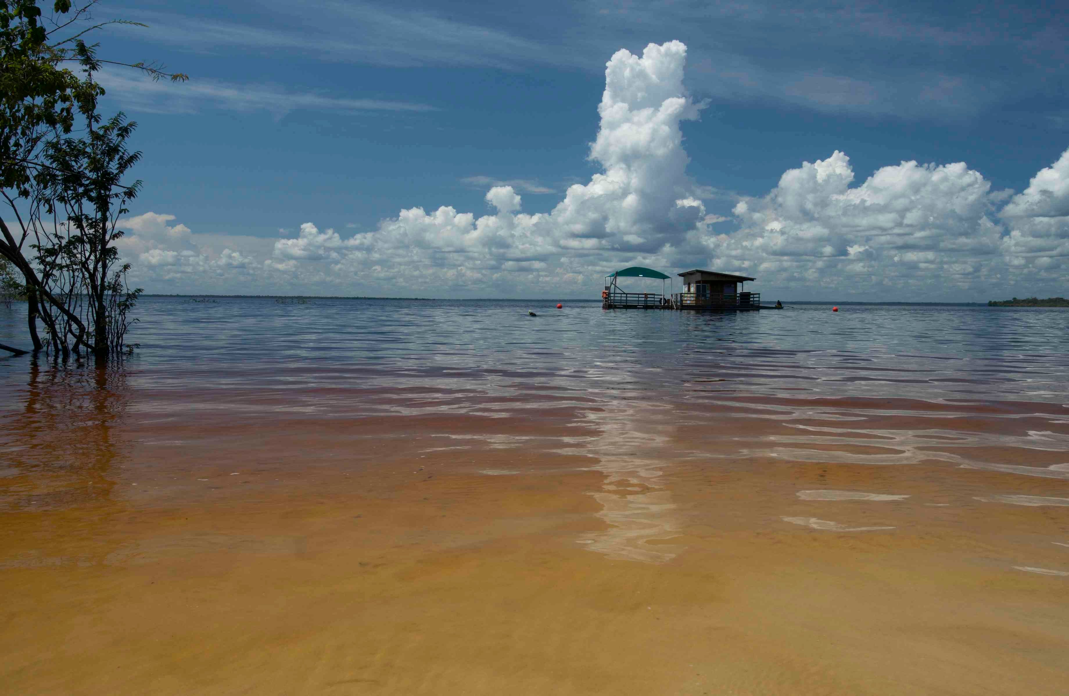 “Lo que más quiero comunicar es que fue un rodaje cinematográfico, es una cosa dramática en lo visual y en la narrativa. Las influencias que discutimos eran del cine, no del documental, lo queríamos grabar de manera cinematográfica. Debemos darle el reconocimiento a quien creo que es uno de los mejores directores de fotografía de Colombia: Helkin René Díaz. Lo filmó con una belleza cinematográfica. Todas las grandes publicaciones lo mencionan específicamente a él y a su trabajo. Es un orgullo; esta una película colombiana, hecha en Colombia”.  