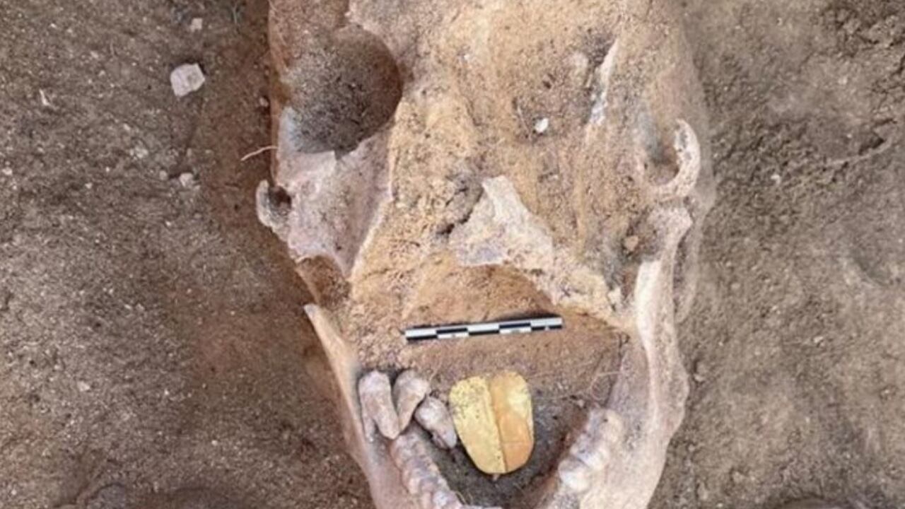 Desde 2021, cuando se encontró la primera momia, se han extendido las excavaciones que han revelado muchas más momias con esta característica