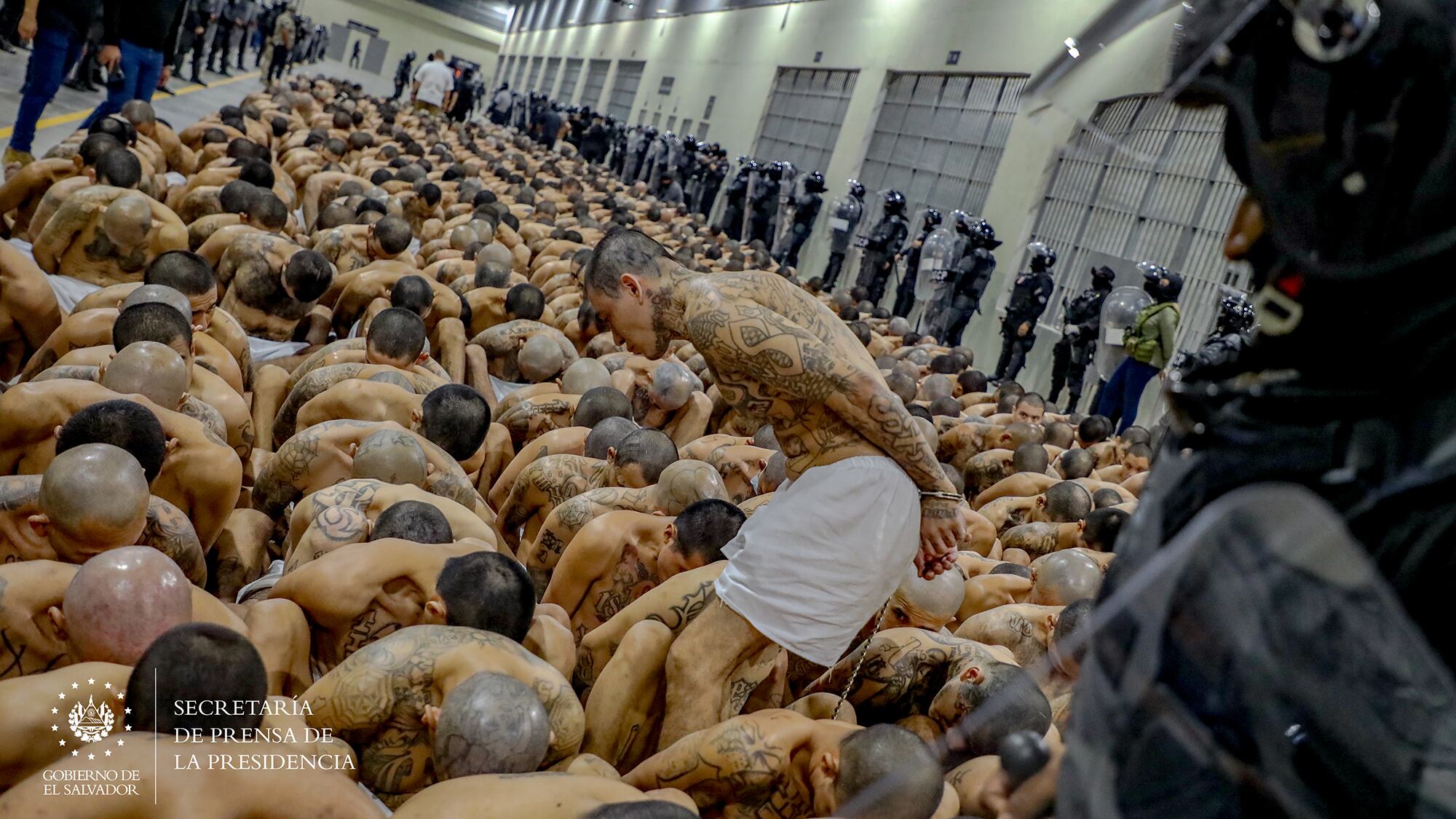 Presidente Nayib Bukele ejecuta el segundo traslado de 2,000 pandilleros al Centro de Confinamiento del Terrorismo
marzo 15 2023