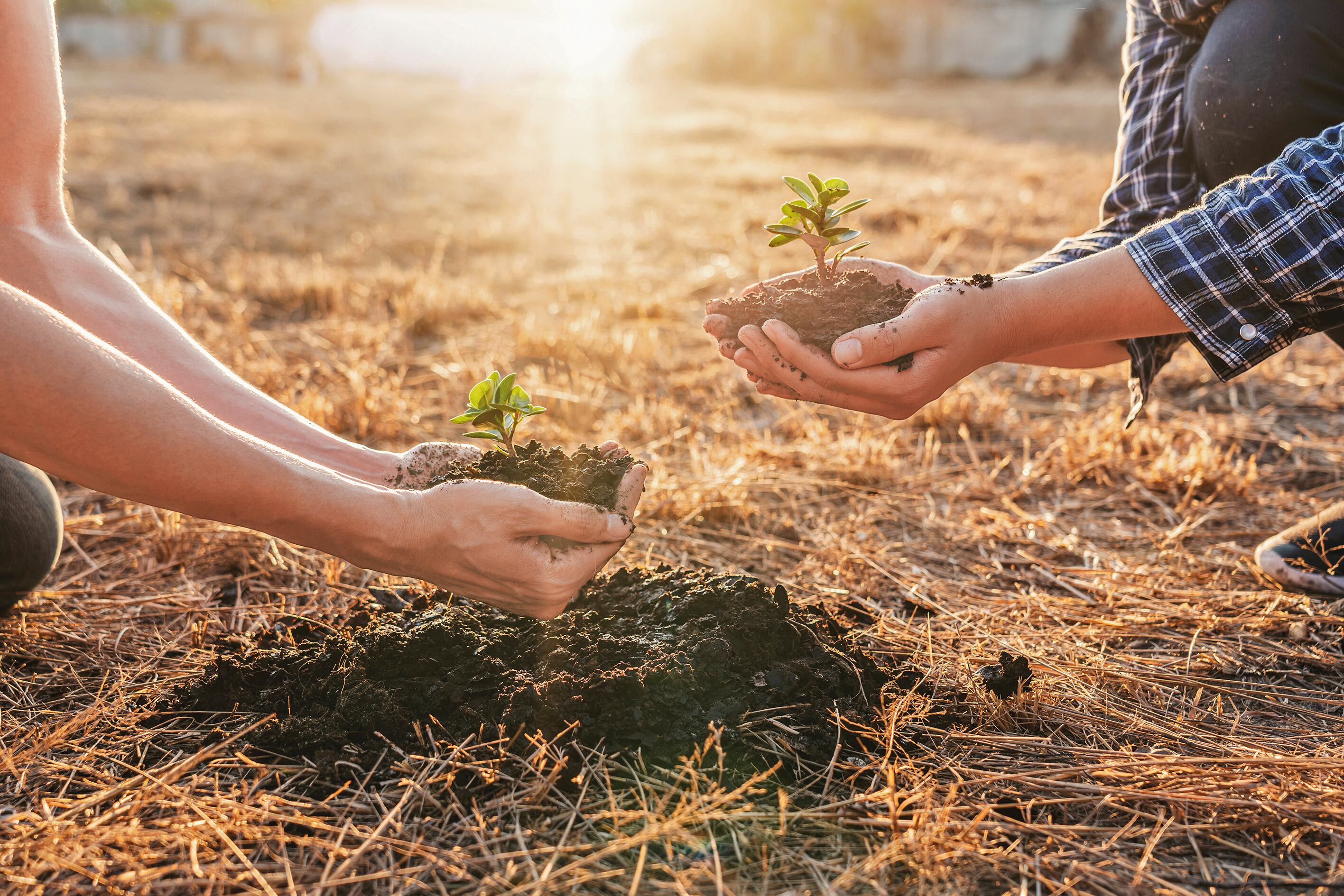 Lulo Impacto es la muestra de que las finanzas pueden tener un impacto positivo en el medio ambiente.