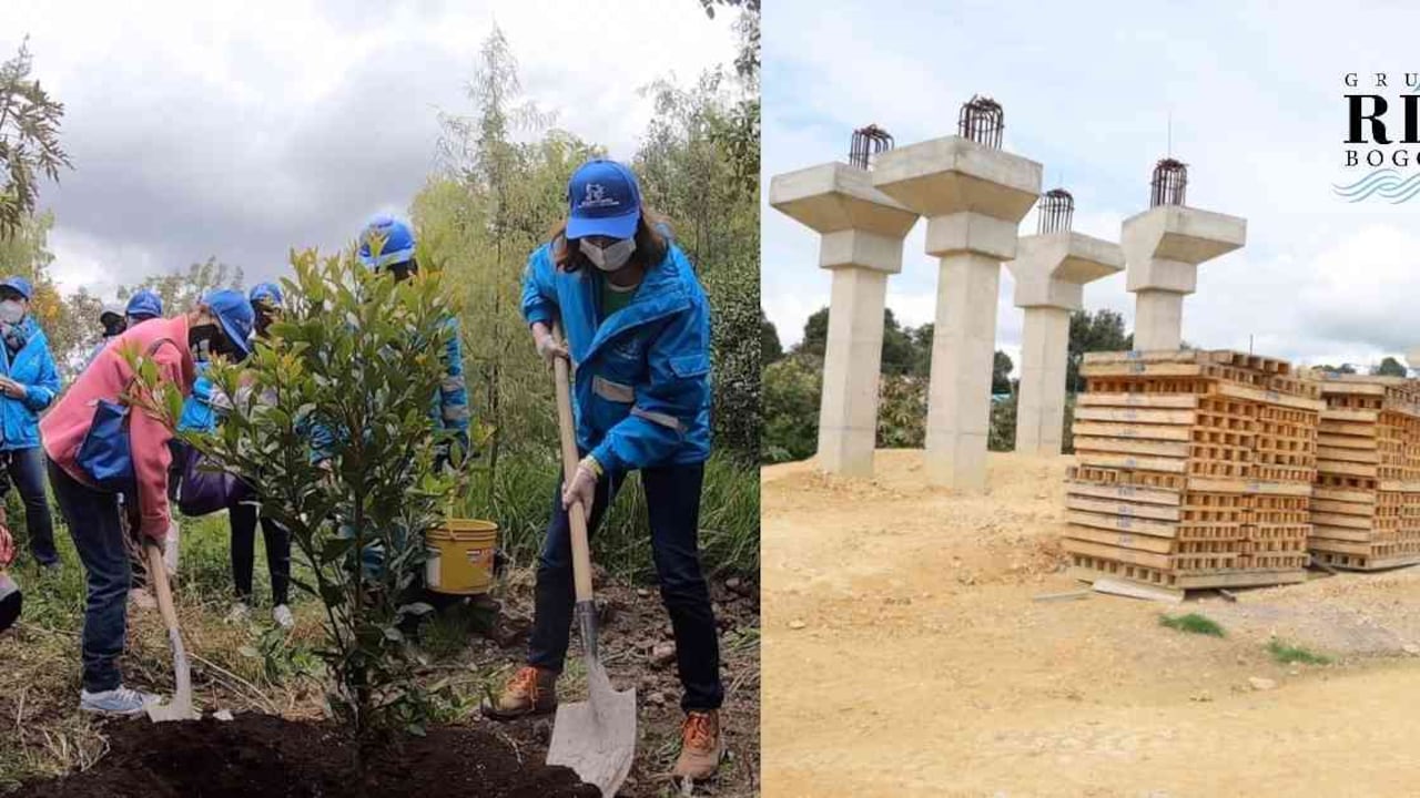 La sembratón contrasta con los impactos ambientales que padece este humedal bogotano. Fotos: EAAB y SDA.