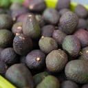 Aguacate Hass