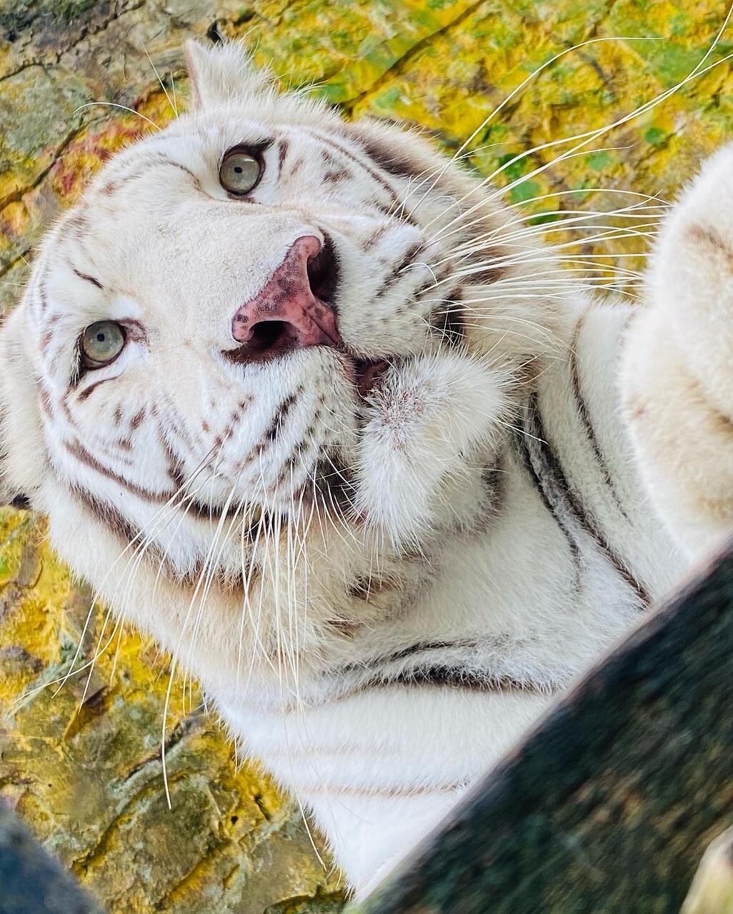 Zoológico Santacruz