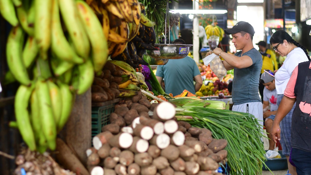 Buscan mitigar el hacinamiento de almacenes de verduras.