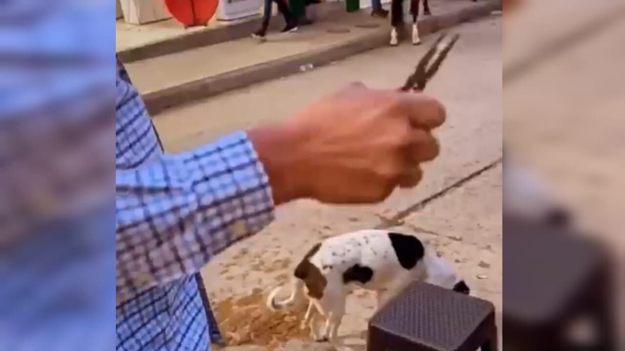 La víctima es Benjamín Rodríguez García, un hombre conocido como Mincho, quien presenta deficiencias cognitivas