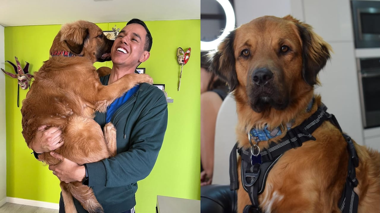 Diego Guauque comparte la lección de constancia que le dejó su mascota.