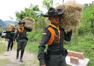 Los uniformados verifican las condiciones de salud de los animales y entregan recomendaciones