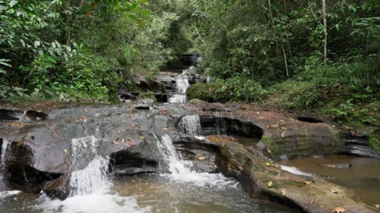 Paicol Huila