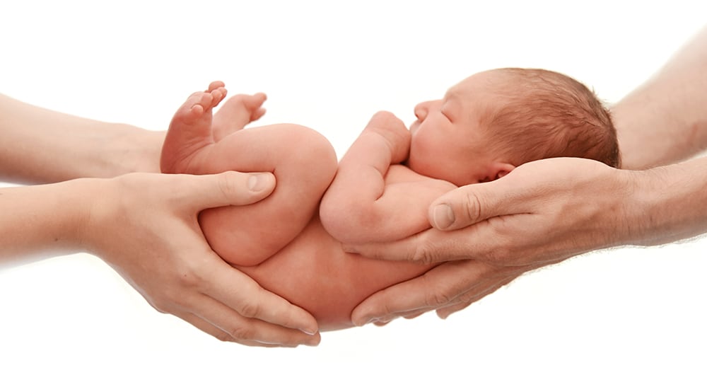  Los cinco principales países de origen son Corea del Sur, India, Colombia, China y Sri Lanka. 