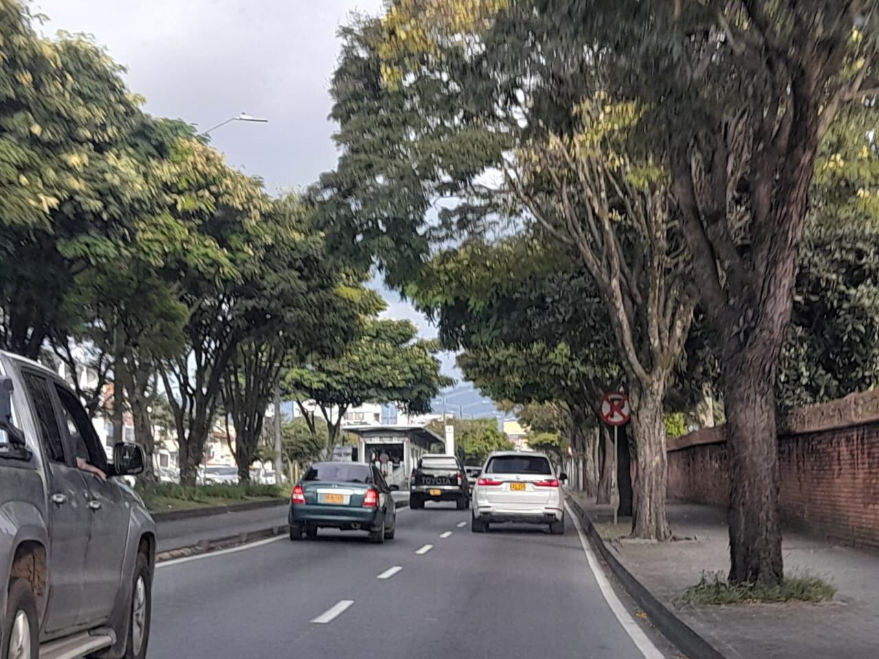 De acuerdo con la información del RUNT de los vehículos registrados en Pereira, en promedio el 10% del total de los vehículos corresponden a vehículos con placa terminadas en el mismo dígito