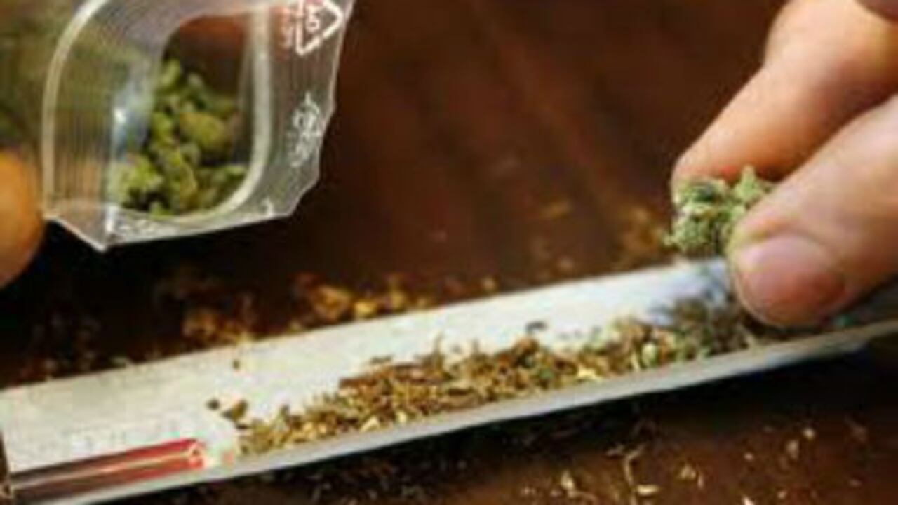 Con la legalización no solo bajarán los precios, sino que típicamente la calidad de la marihuana producida en Estados Unidos es mejor a la calidad de la marihuana mexicana