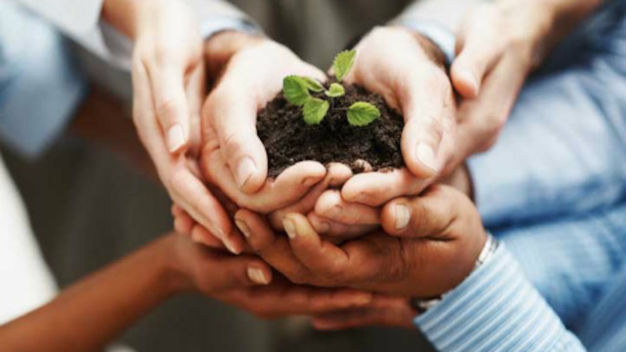 Sin valores de base las mempresas no pueden prosperar.