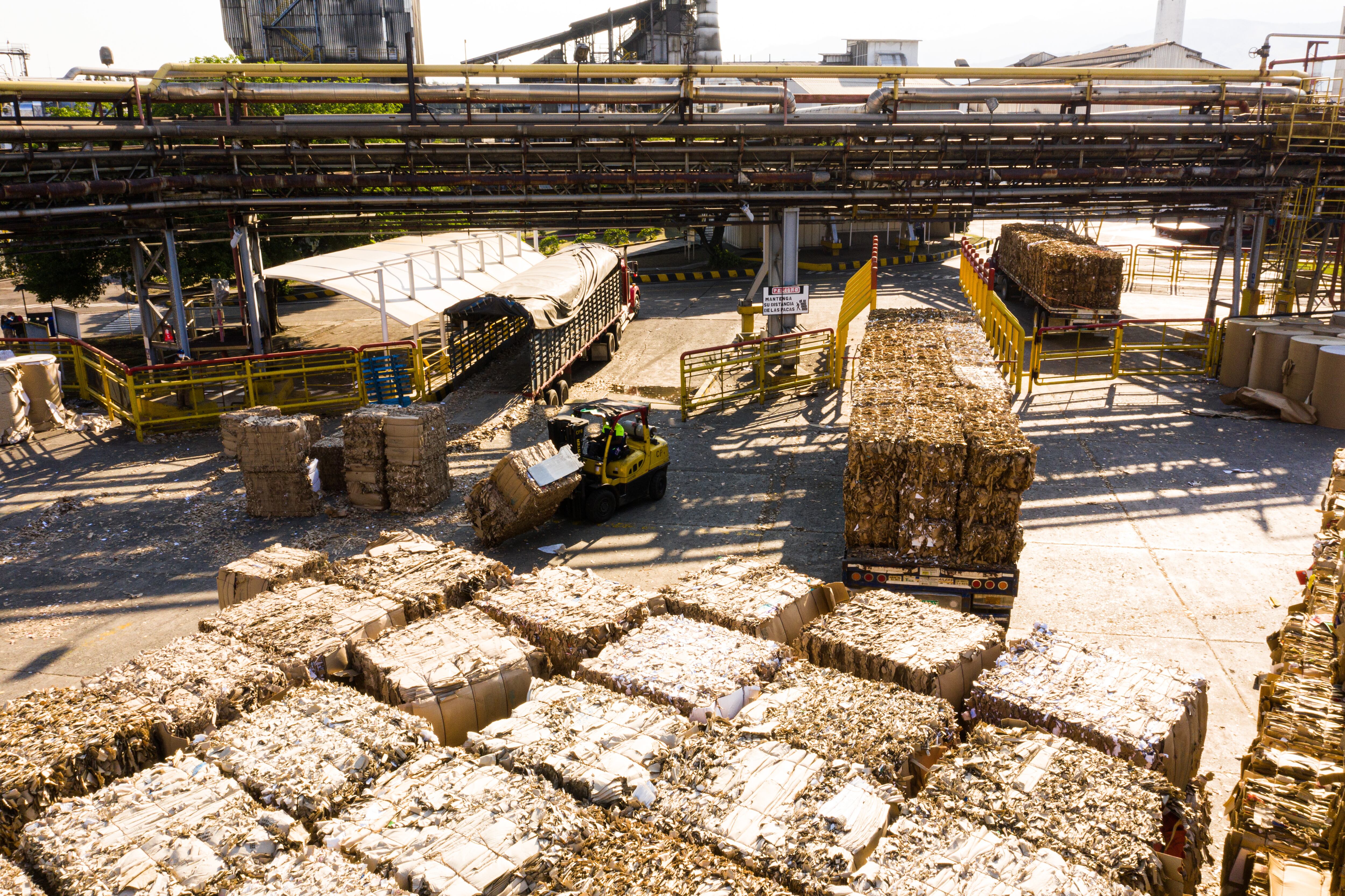 Smurfit Kappa Colombia  es el principal reforestador privado y el mayor reciclador de cartón y papel de Colombia.