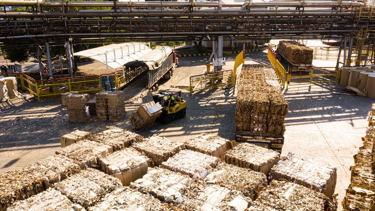 Smurfit Kappa Colombia es el principal reforestador privado y el mayor reciclador de cartón y papel de Colombia.