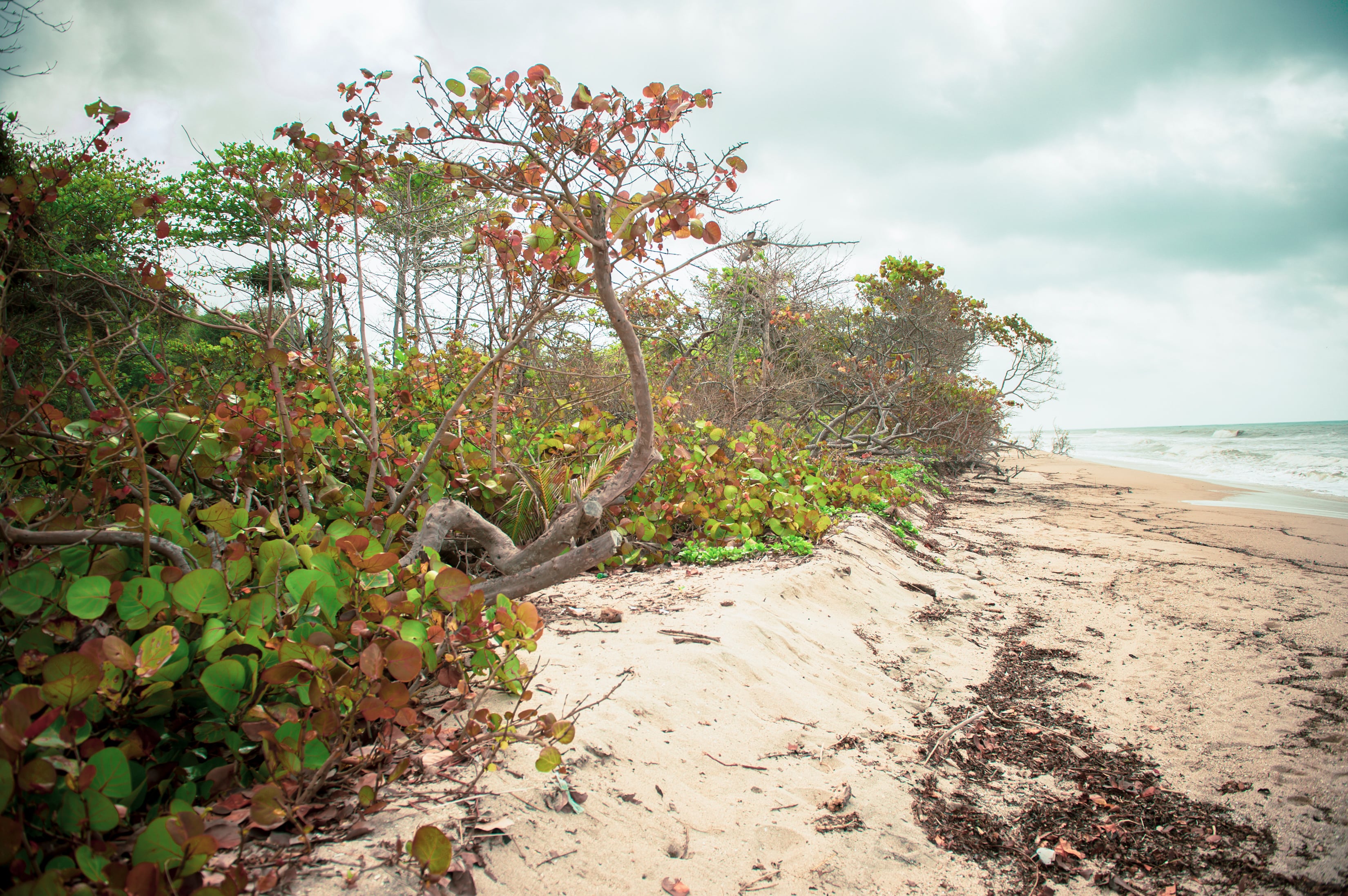 Sierra Nevada de Santa Marta Colombia