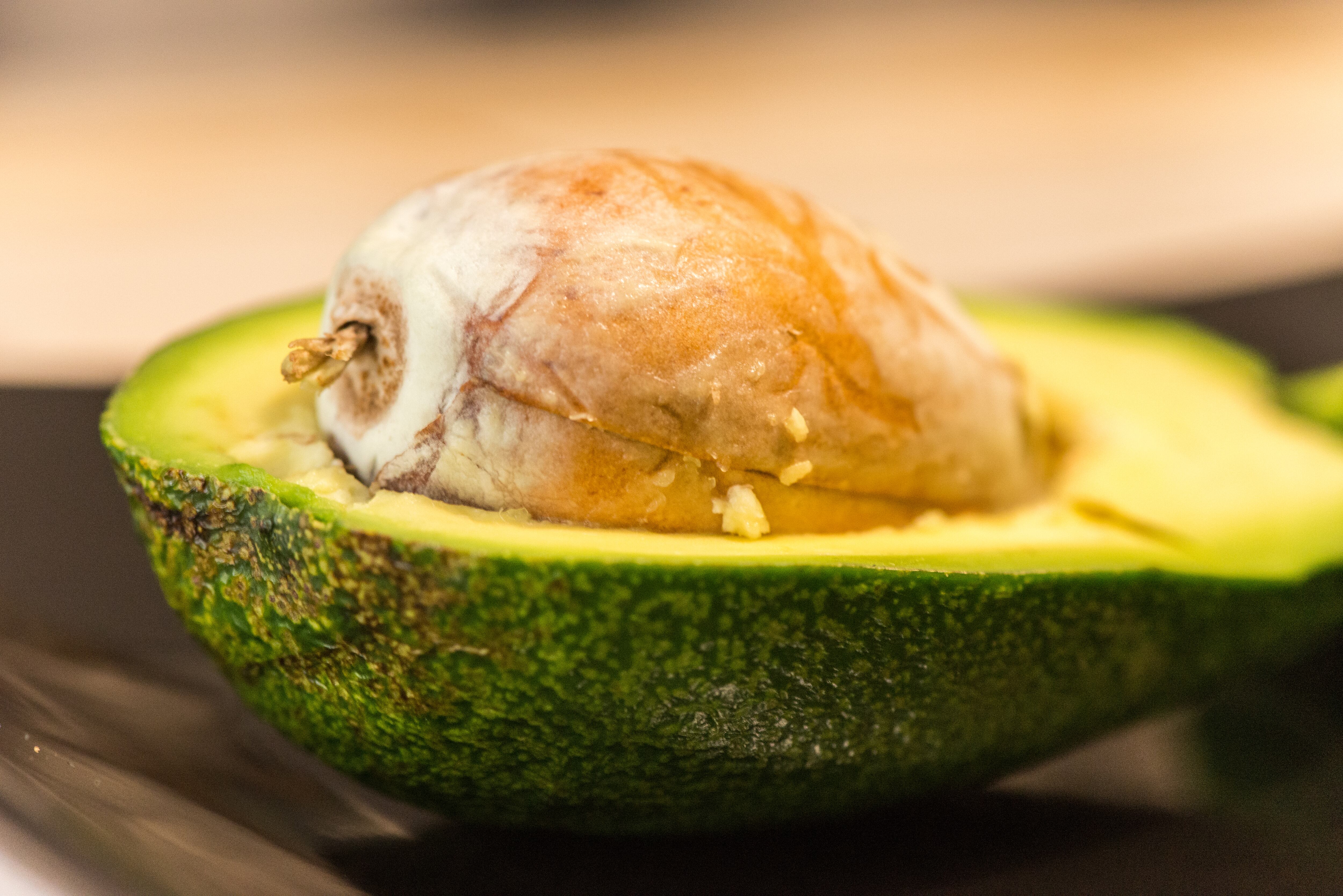 Así de fácil puede hacer el abono natural.