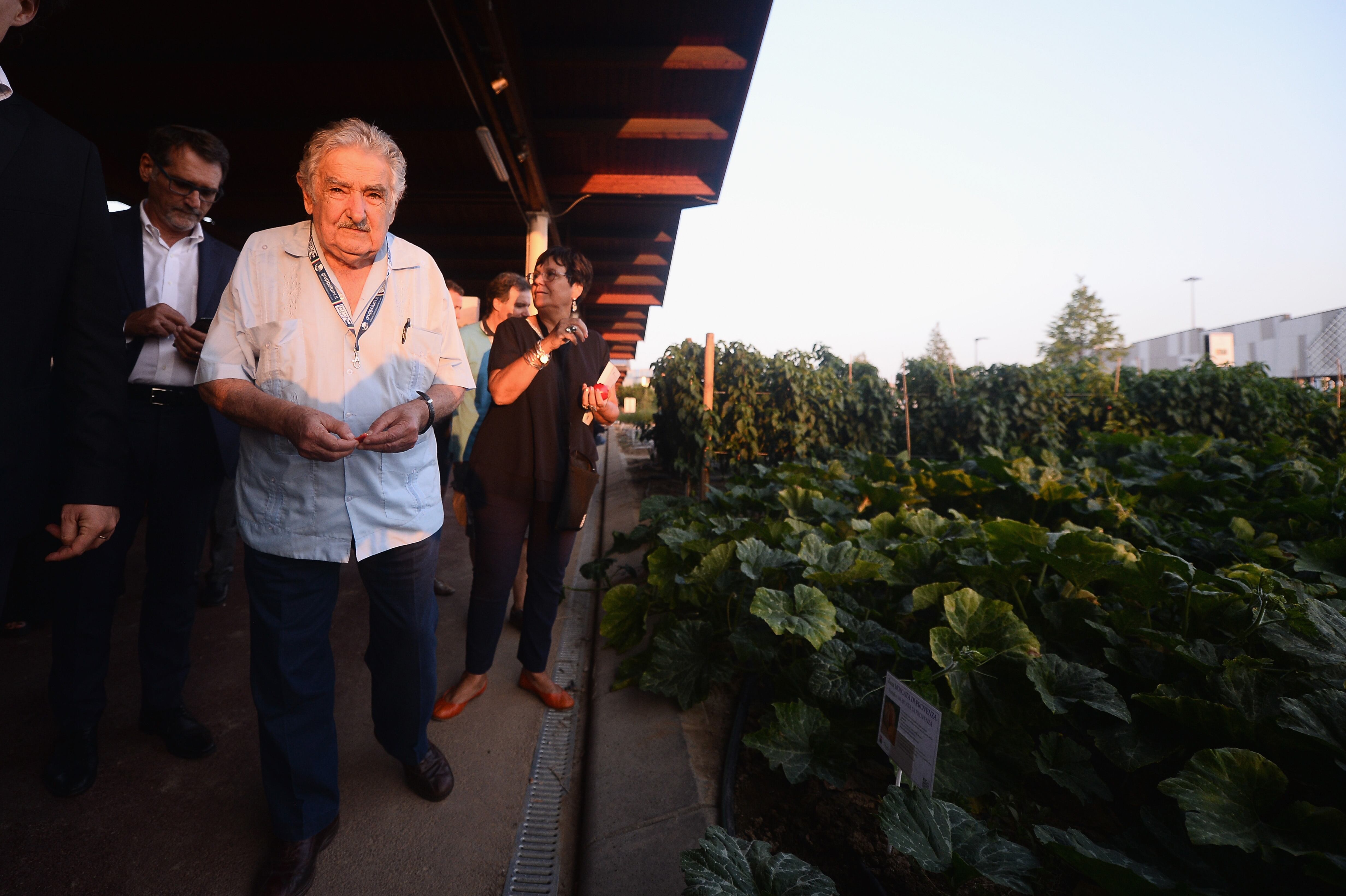 El ex presidente de Uruguay Pepe Mujica durante su visita al Parque Agroalimentario FICO el 29 de agosto de 2018 en Bolonia, Italia.  (Foto de Roberto Serra/Iguana Press/Getty Images)