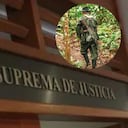 La decisión ordenó reconocer una pensión especial a un hombre que quedó parapléjico tras un atentado ocurrido en 1992.