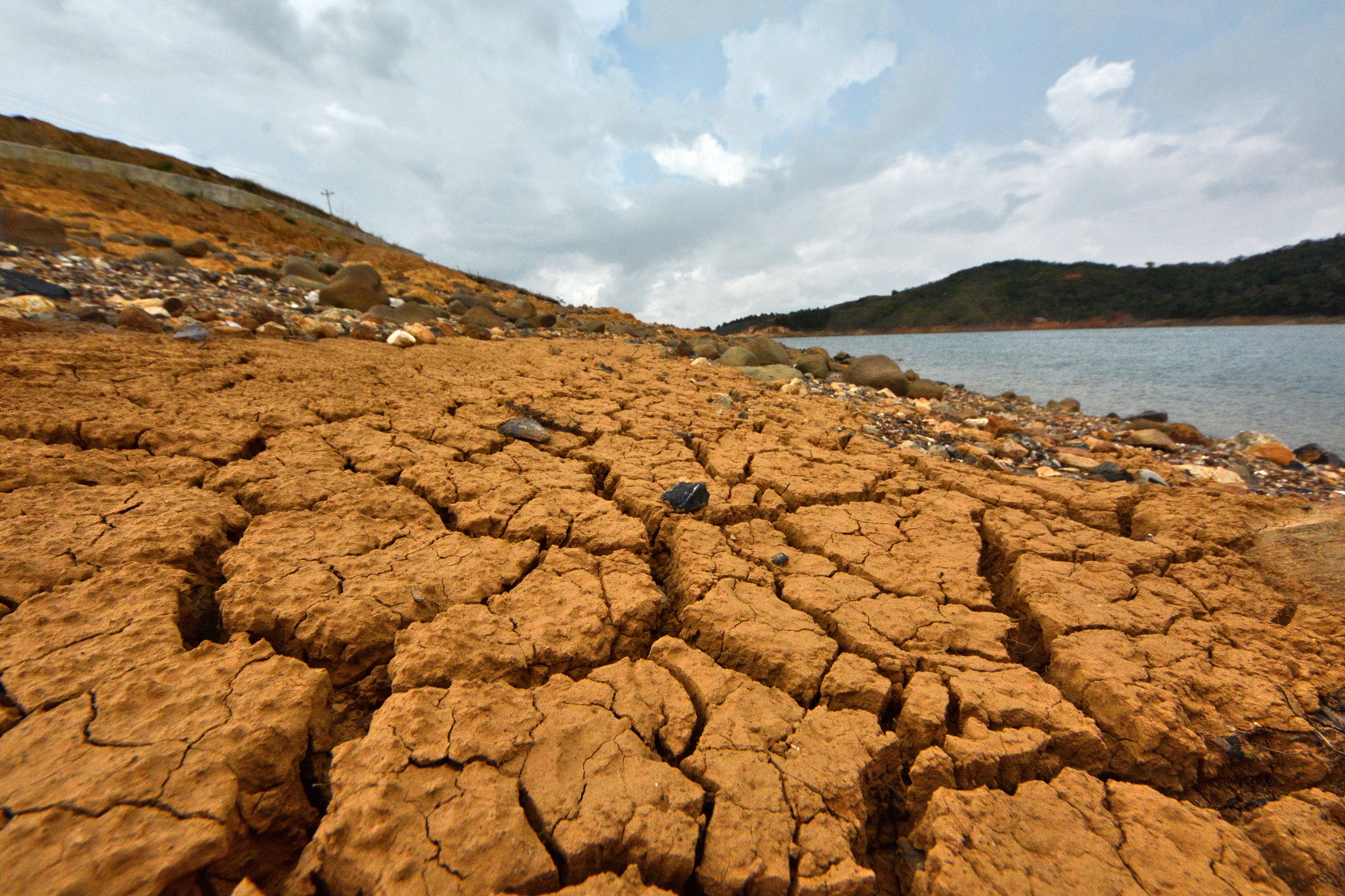 El fenómeno del Niño no solo ha cambiado la intensidad de los fenómenos meteorológicos, sino que también ha cambiado los paisajes naturales, como pasa con el Lago Calima en el Valle del Cauca. En las orillas de este gran lago artificial, se nota la disminución en el nivel de sus aguas
