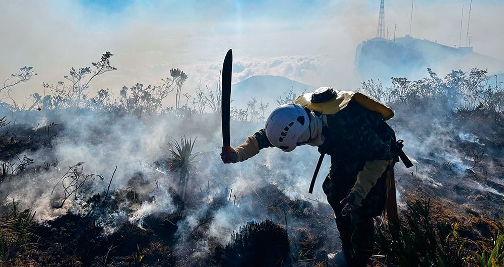 Los expertos coinciden en que las quemas van a empeorar. 