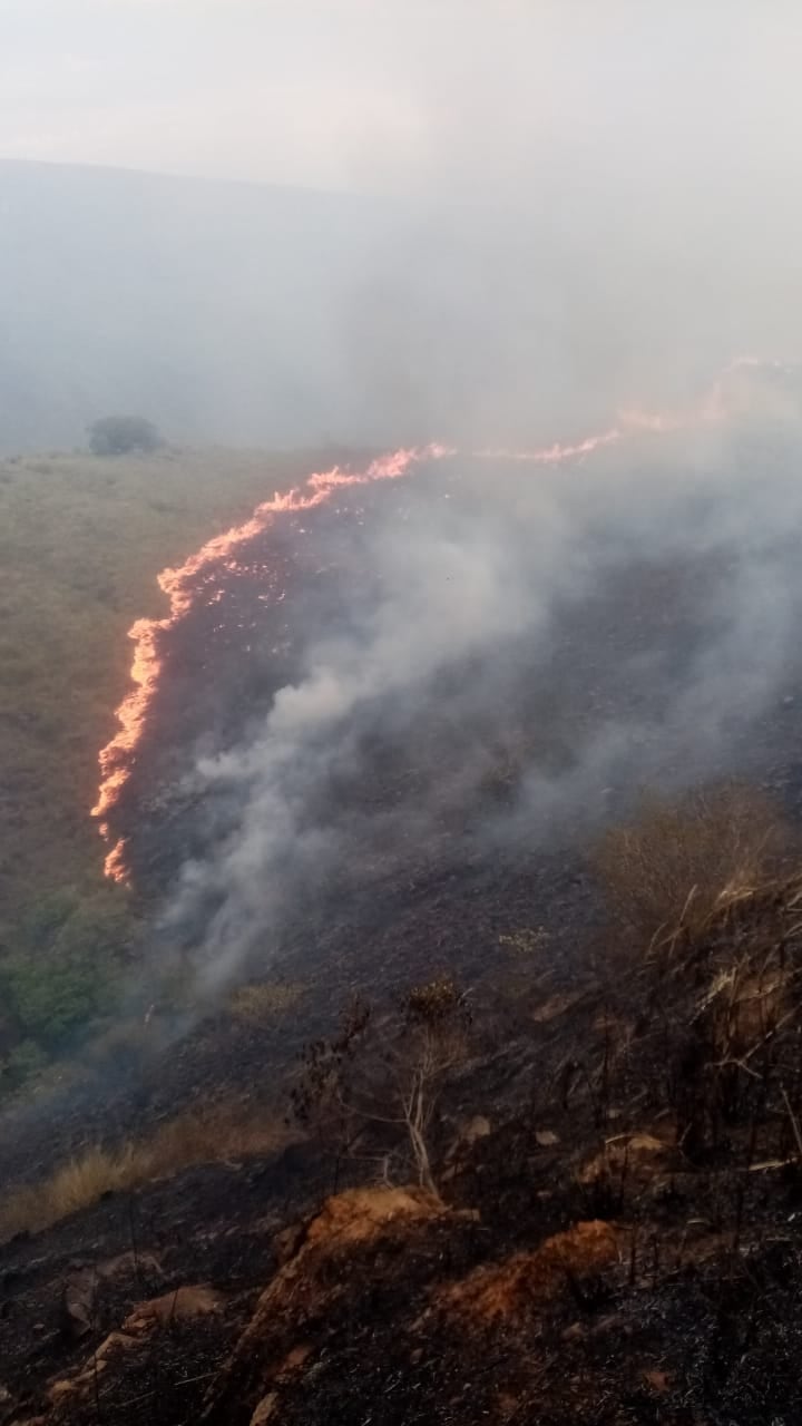 Así avanza la conflagración.