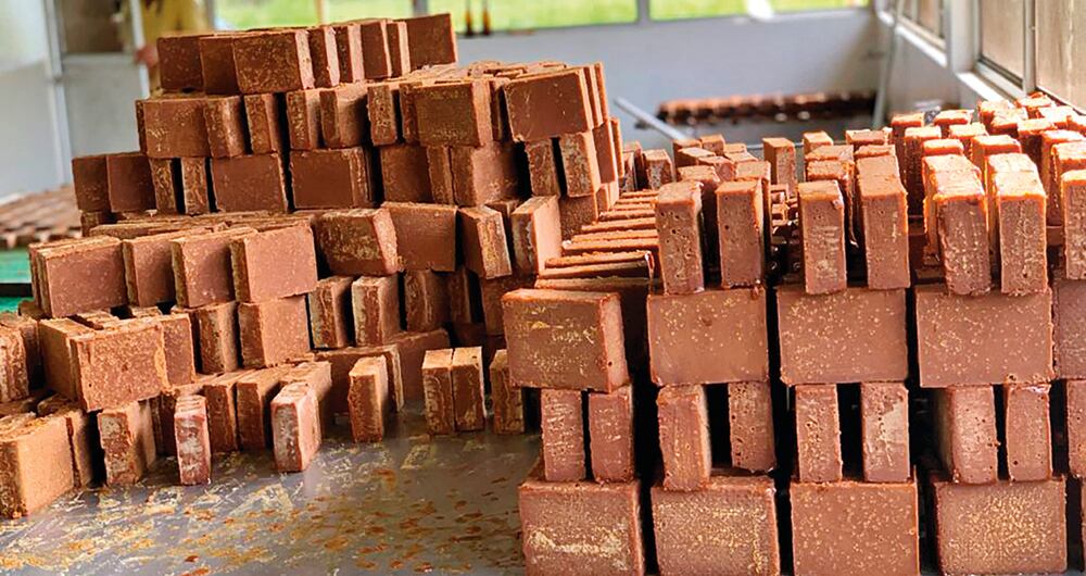 Hace cinco años, cuando construyó la casa y el hotel de la finca agroturística, contrató a más de 20 empleados que trabajaron de sábado a sábado para terminar pronto la obra. 