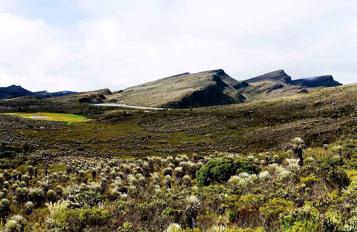 Las afueras, con perros o en bicicleta: Bogotá tiene muchos atractivos naturales a su alrededor, como el Salto de Tequendama, los Cerros Orientales o el páramo de Sumapaz. Hay distintas personas dedicadas a armar tours guiados por esos espacios. El plus de muchos de ellos es que se hacen en bicicleta y otros, incluso, son pensados para que sean recorridos con sus perros. Puede contactarlos a través de redes sociales o en la web. En www.tripadvisor.co encuentra algunos. Foto: Juan Pablo Gutiérrez / SEMANA