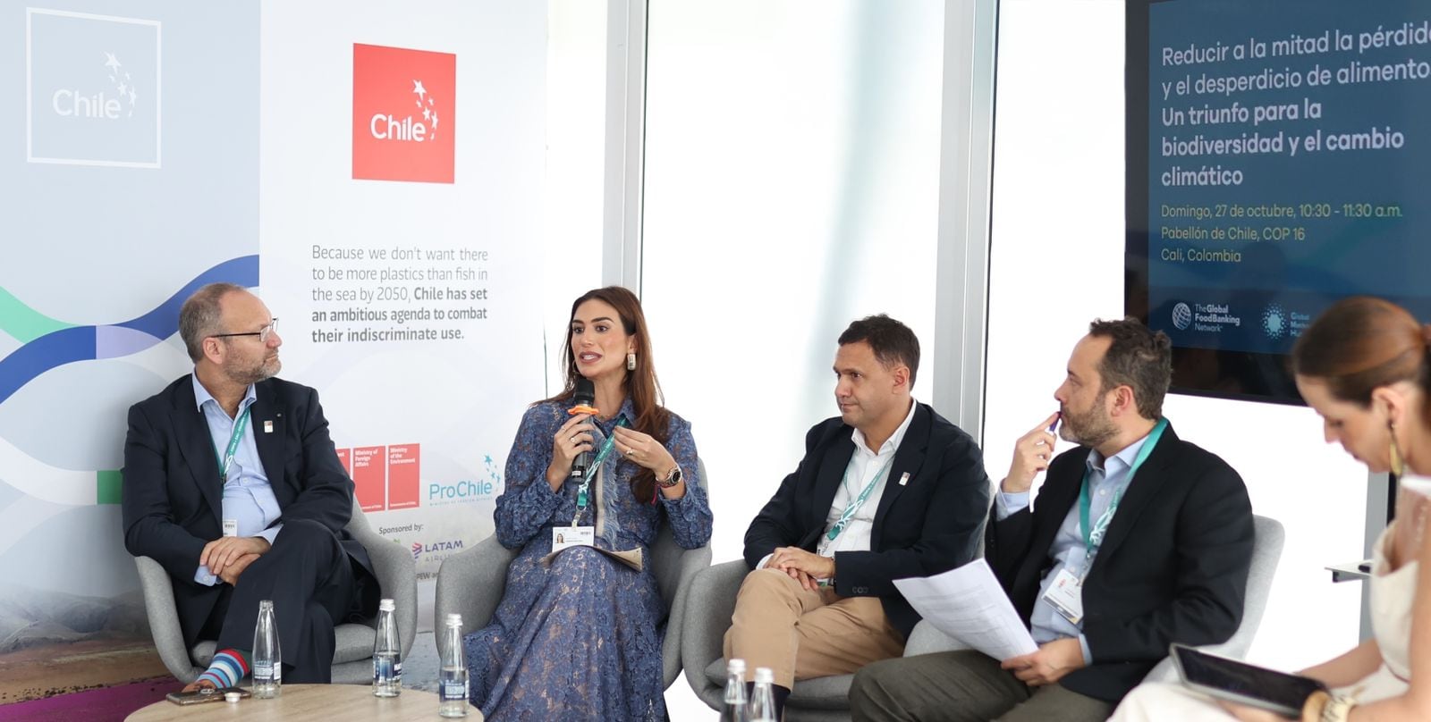 Saray Robayo Bechara, vocera del Partido de la U.