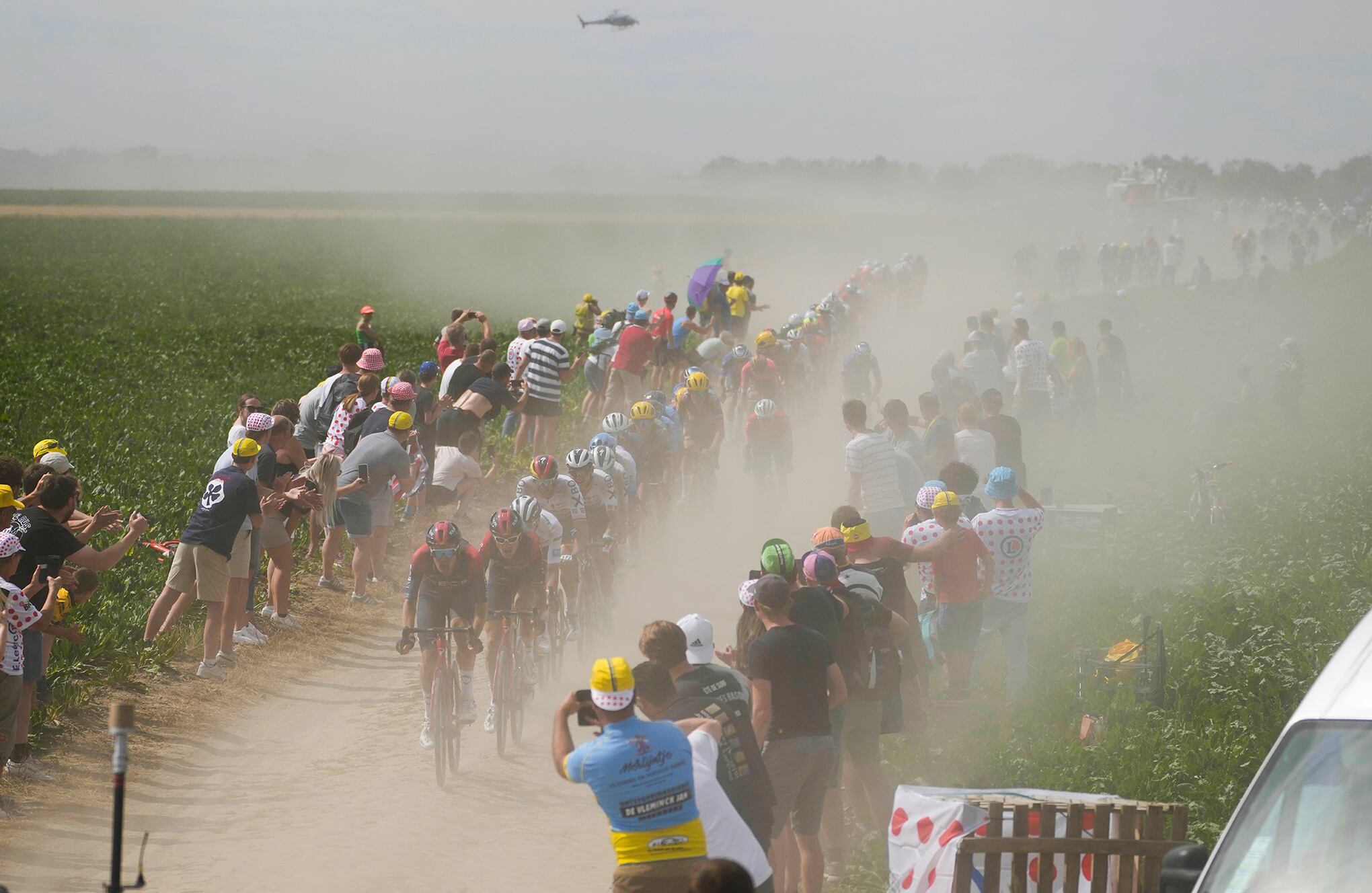 Fotos de la semana 8 julio