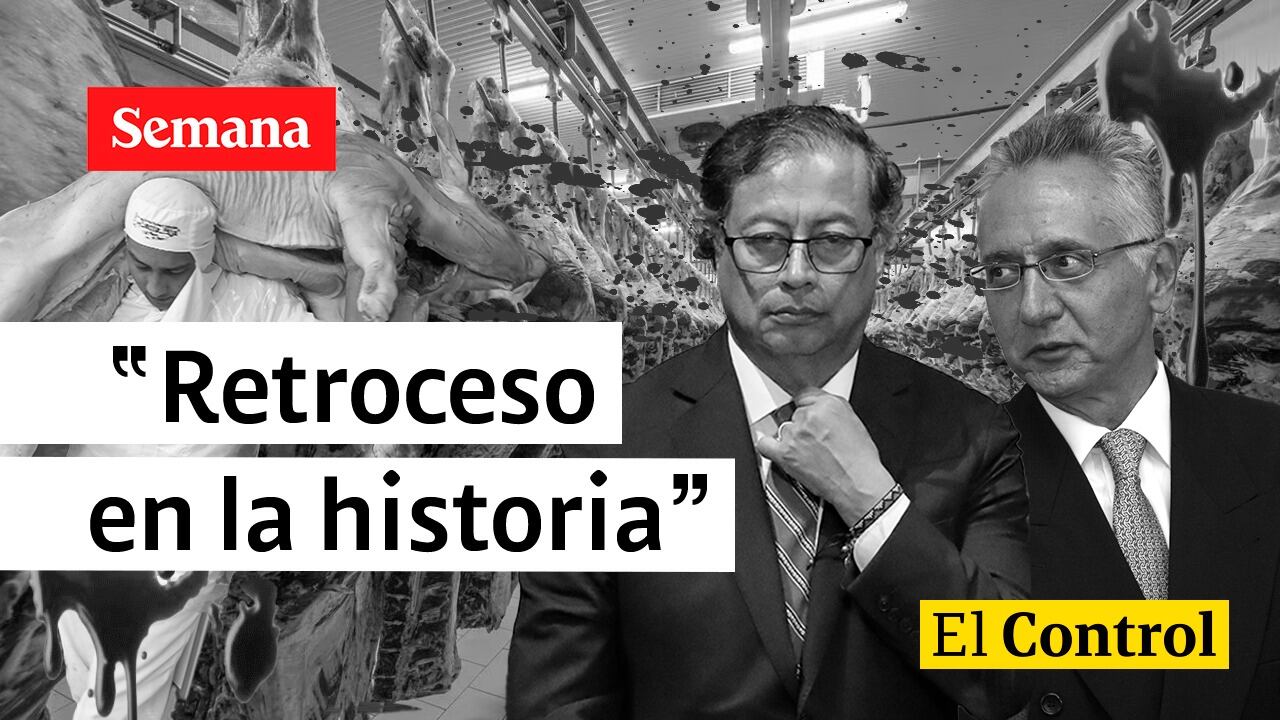 El Control a la reapertura de mataderos municipales: "Retroceso en la historia".