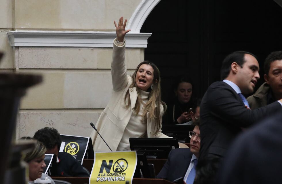 Nueva ponencia en la Corte Constitucional pide tumbar la reforma ...
