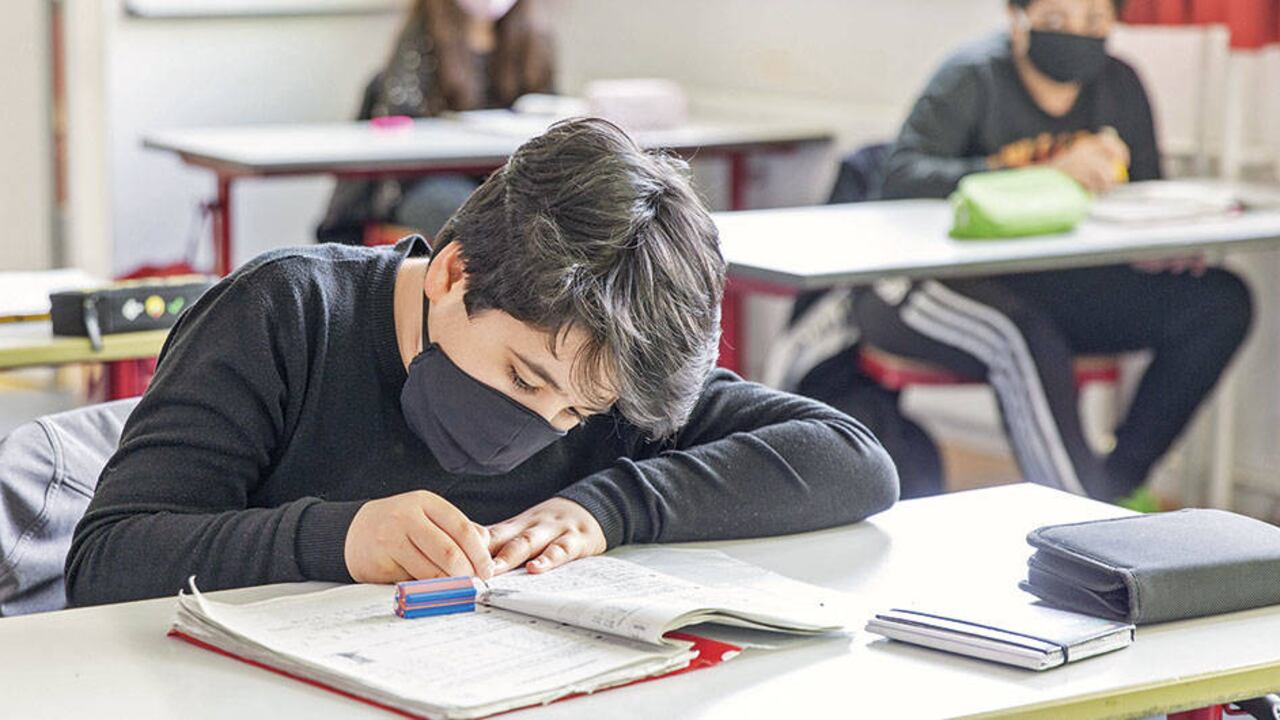 Red PaPaz pide apertura de colegios para evitar retrocesos en la educación | Colombia hoy