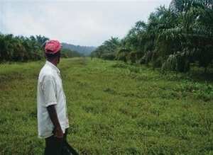 Los procesos de restitución se iniciarán en las áreas más afectadas por la acción de los grupos armados al margen de la Ley.