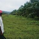 Los procesos de restitución se iniciarán en las áreas más afectadas por la acción de los grupos armados al margen de la Ley.