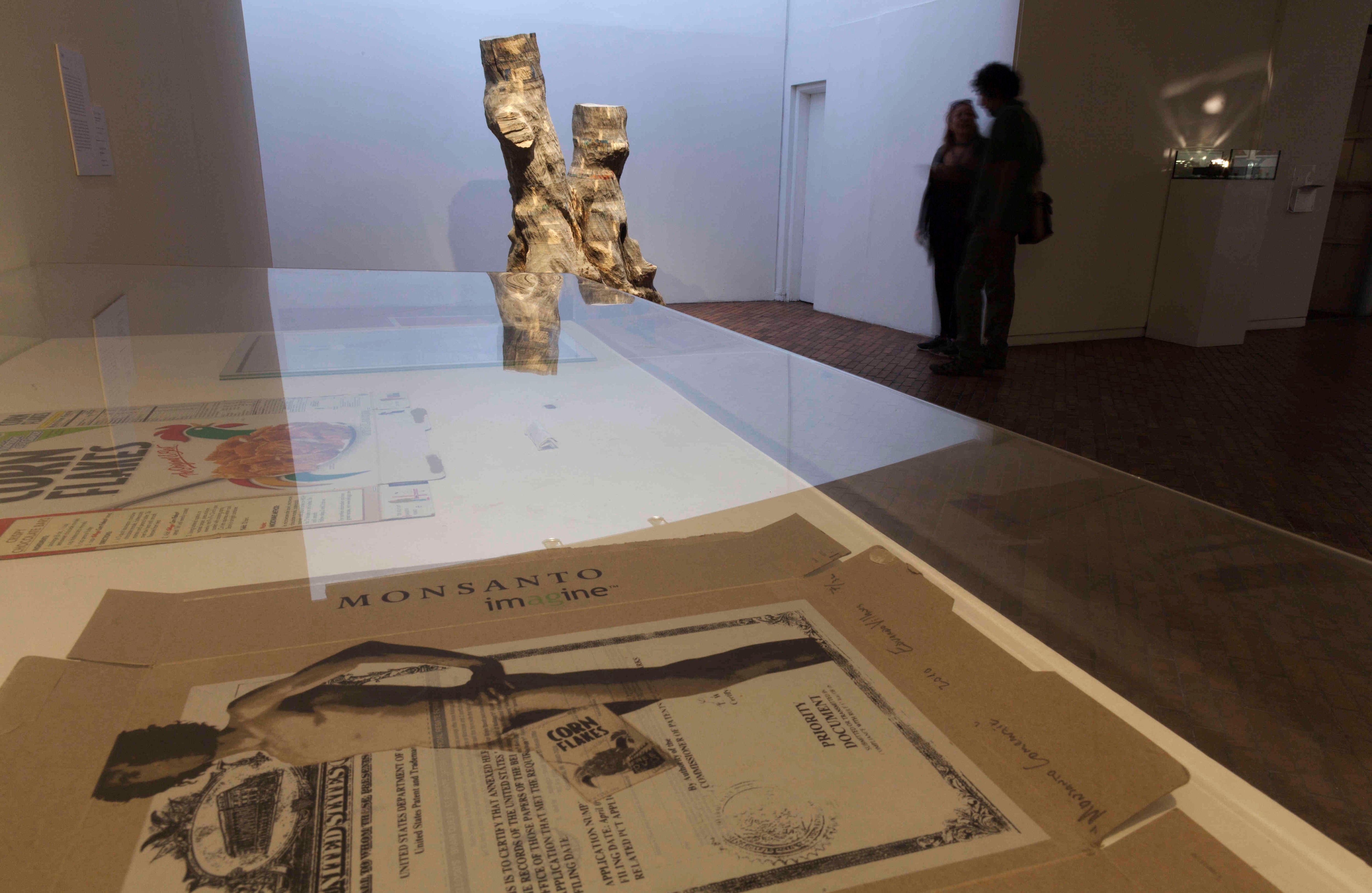 Ernesto Monsalve/MAMBO 2016